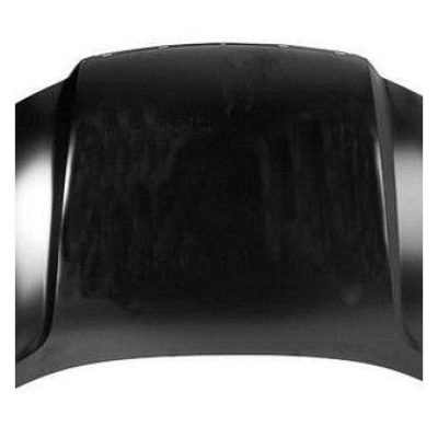 GM1230318C Body Panel Hood